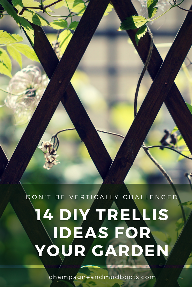Find easy DIY trellis ideas for your vegetable garden that will allow you to grow more food in a smaller space and enhance the beauty of your garden.