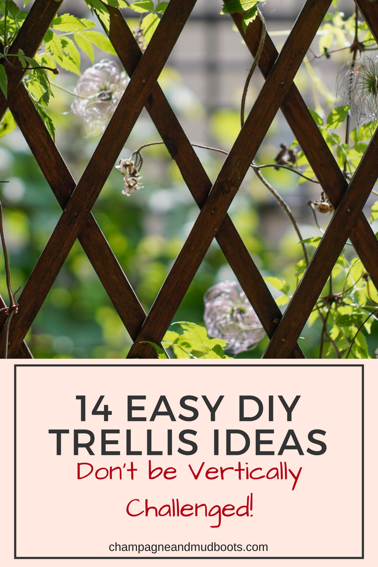 Find easy DIY trellis ideas for your vegetable garden that will allow you to grow more food in a smaller space and enhance the beauty of your garden.