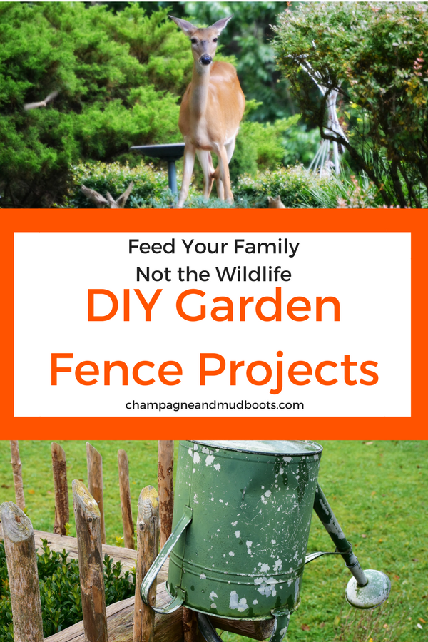DIY garden fence ideas that include cheap and easy projects with links on how to build them to protect veggies from dogs, deer and rabbits.