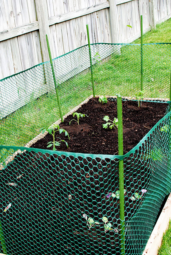 DIY Garden Fence Ideas - Protect Your Harvest - Champagne and Mudboots