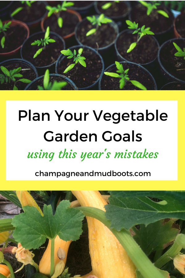 How to create a vegetable garden plan based on the mistakes of your current garden to improve layout, design, seed starting, and crop production.