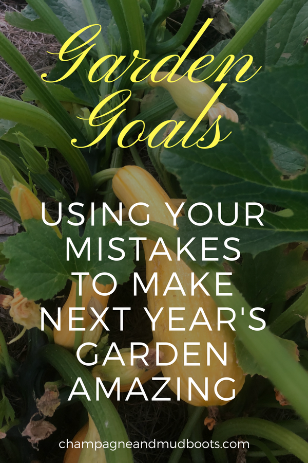 How to create a vegetable garden plan based on the mistakes of your current garden to improve layout, design, seed starting, and crop production.