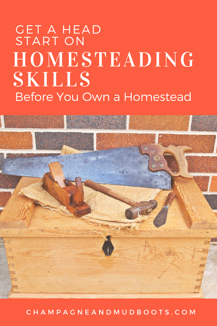 Homesteading skills to learn and practice before you even start your homestead. Ideas for food preservation, skills to help with DIY projects, and homestead management that will allow you to jump right into homesteading once you have a property. 