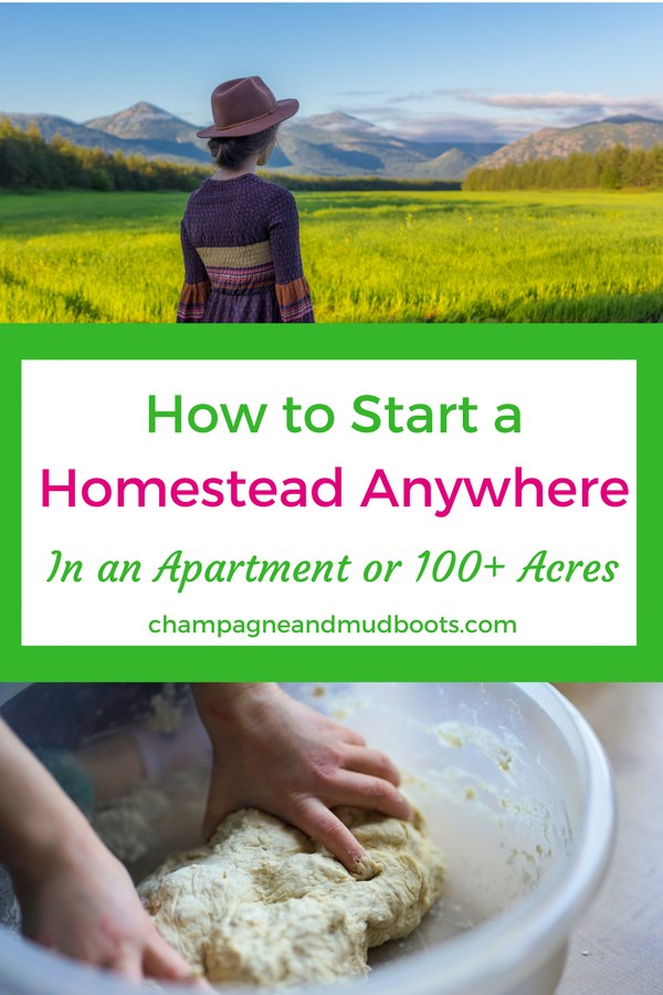 Step by step guide for how to start homesteading regardless of where you currently live including tips and ideas on how to homestead in an apartment, homestead in the suburbs or the ultimate homesteading on acreage.