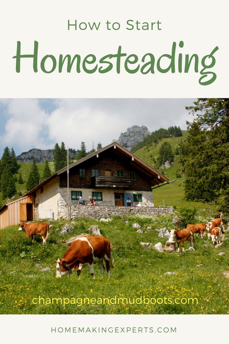Step by step guide for how to start homesteading regardless of where you currently live including tips and ideas on how to homestead in an apartment, homestead in the suburbs or the ultimate homesteading on acreage.