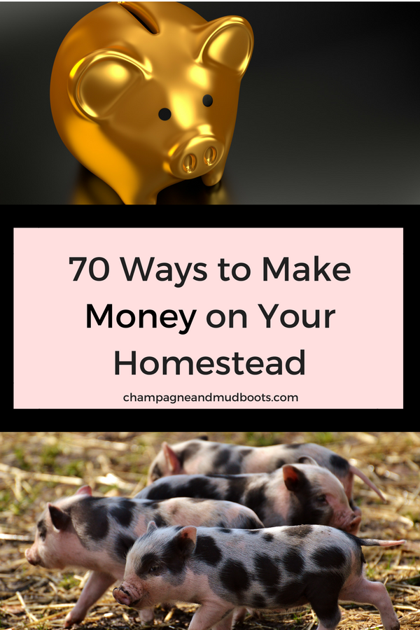 Ideas to generate an income and make money on a homestead so that it is a profitable life style choice even on a small homestead.
