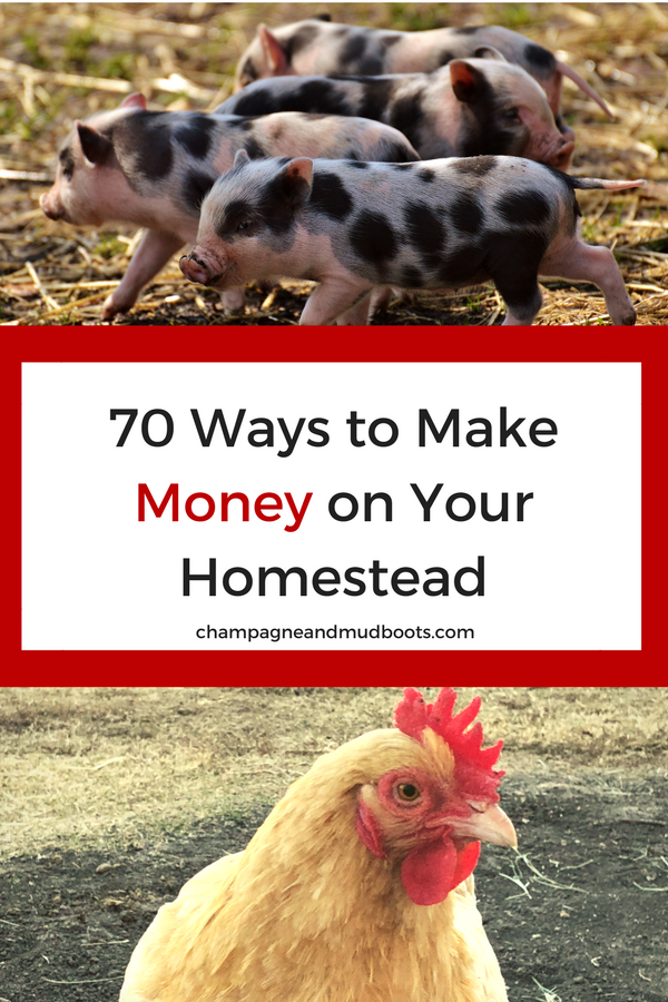 Ideas to generate an income and make money on a homestead so that it is a profitable life style choice even on a small homestead.