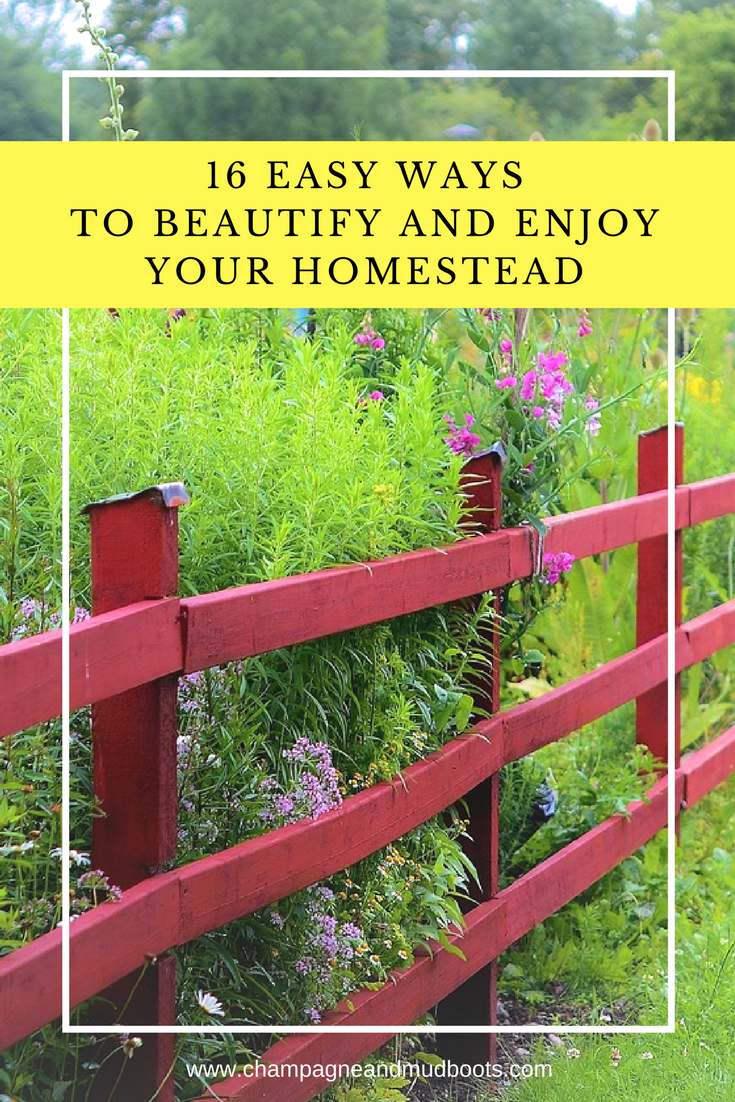 Tips and easy ideas to beautify and enjoy your homestead by creating a more elegant living experience everyday and for your guests.