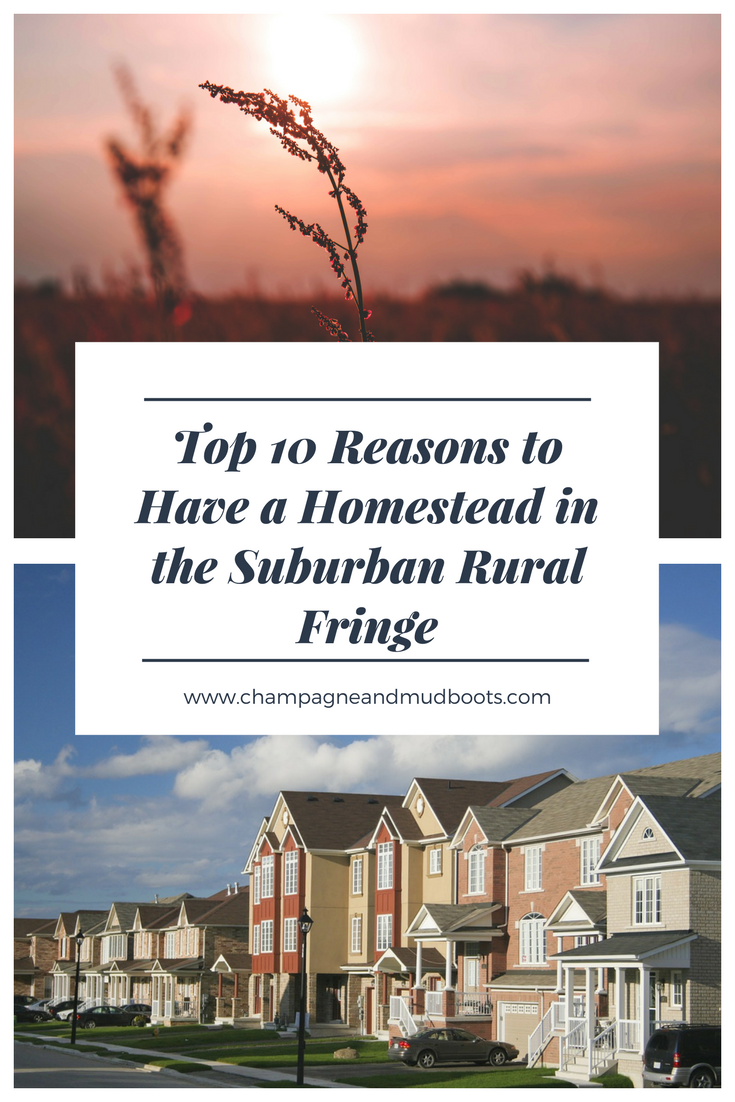 Reasons and benefits to establishing your homestead in the suburban rural fringe which combines the ideals of both urban and country living.