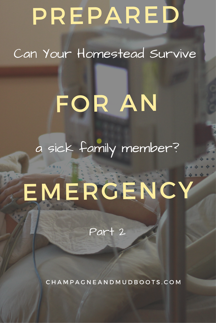 This article provides tips to help you get your homestead prepared for an emergency specifically first aid, evacuations, and family health emergencies.