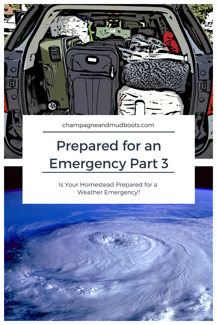 Tips to keep your Homestead Prepared for an Emergency focusing on Electricity and Gas, Weather Emergencies and Drills to Practice Ahead of Time.