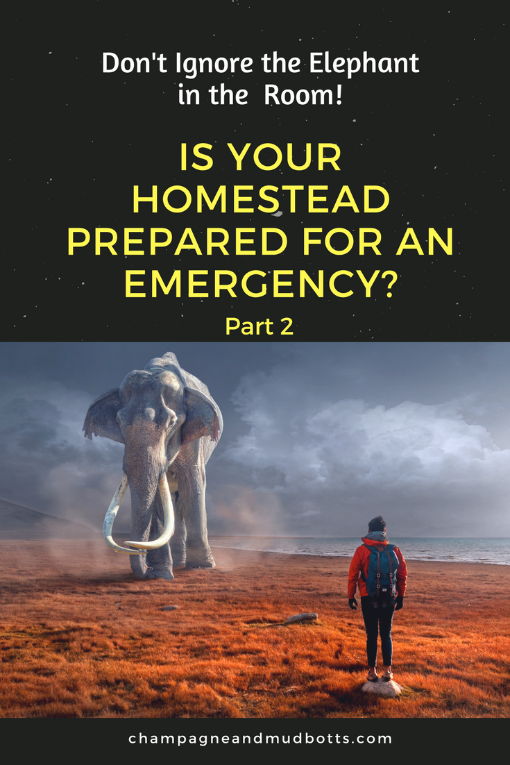 This article provides tips to help you get your homestead prepared for an emergency specifically first aid, evacuations, and family health emergencies.