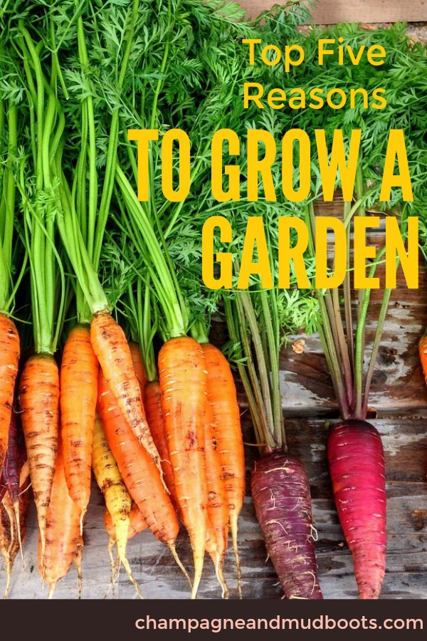 This article provides encouragement for the beginner gardener and reasons they should start a garden even if they feel clueless.
