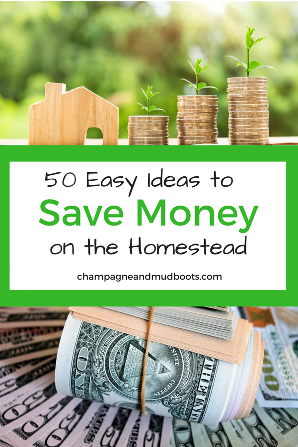 Simple and easy ways to save money on a homestead so you can create the homestead of your dreams without going broke in the process.