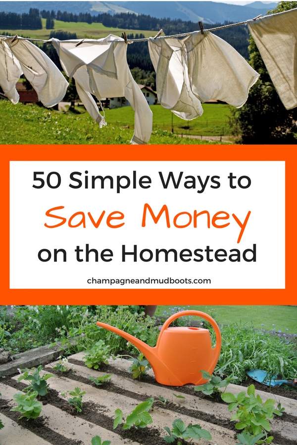Simple and easy ways to save money on a homestead so you can create the homestead of your dreams without going broke in the process.