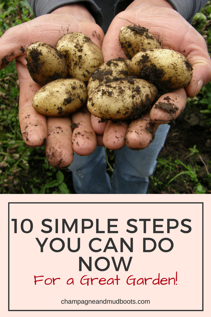 This article gives you 10 simple steps for creating and planning a productive vegetable garden with increased yields and less stress for you.