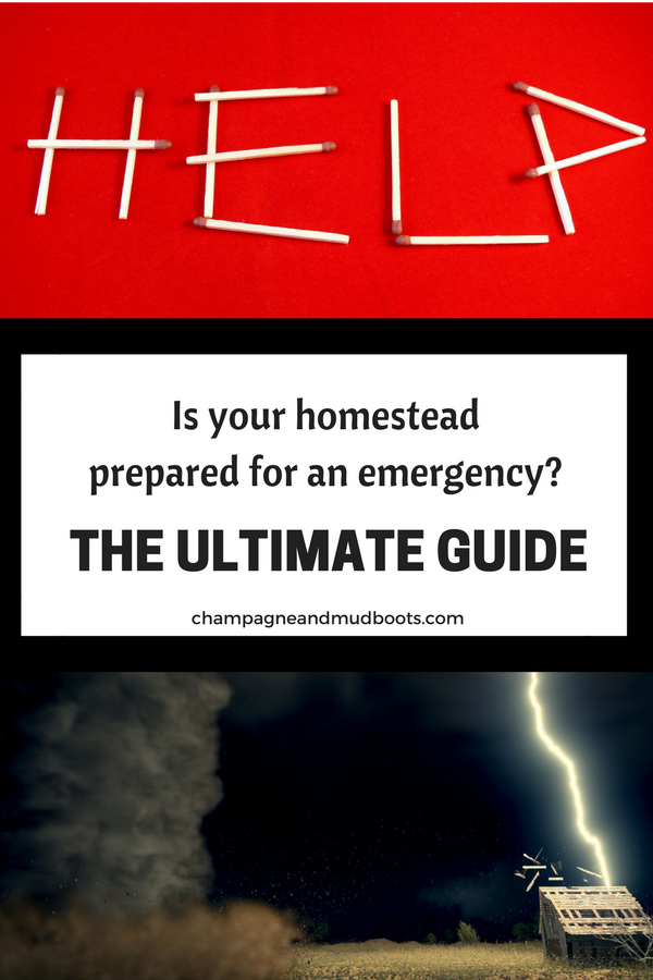 Emergency preparedness ideas for the homestead including stockpiling food, water, surviving natural disasters, job loss, prepping for medical emergencies, and hacks for protecting your animals.
