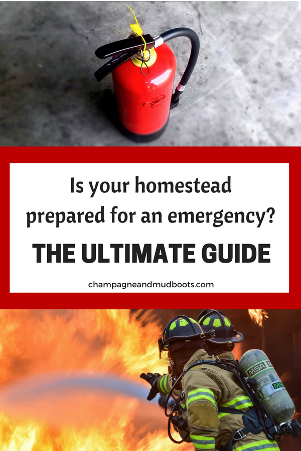 Emergency preparedness ideas for the homestead including stockpiling food, water, surviving natural disasters, job loss, prepping for medical emergencies, and hacks for protecting your animals.
