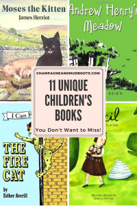 A guide providing descriptions of unique children's books, that you may not have heard of, that will delight and entertain both adults and children.