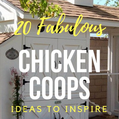 20 of the Most Awesome Chicken Coops that Combine the Fabulous with the Functional
