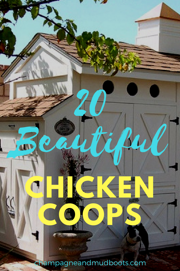 Awesome chicken coop ideas for backyard or homestead that are creative, cute, and fun. Including shabby chic, unique, and DIY modern hen houses.