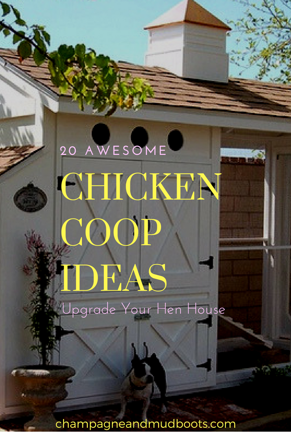 Awesome chicken coop ideas for backyard or homestead that are fun and functional. Including shabby chic, unique, and DIY modern hen houses.