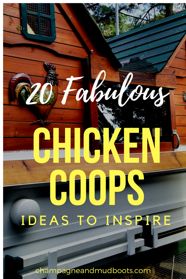 Awesome chicken coop ideas for backyard or homestead that are creative, cute, and fun. Including shabby chic, unique, and DIY modern hen houses.