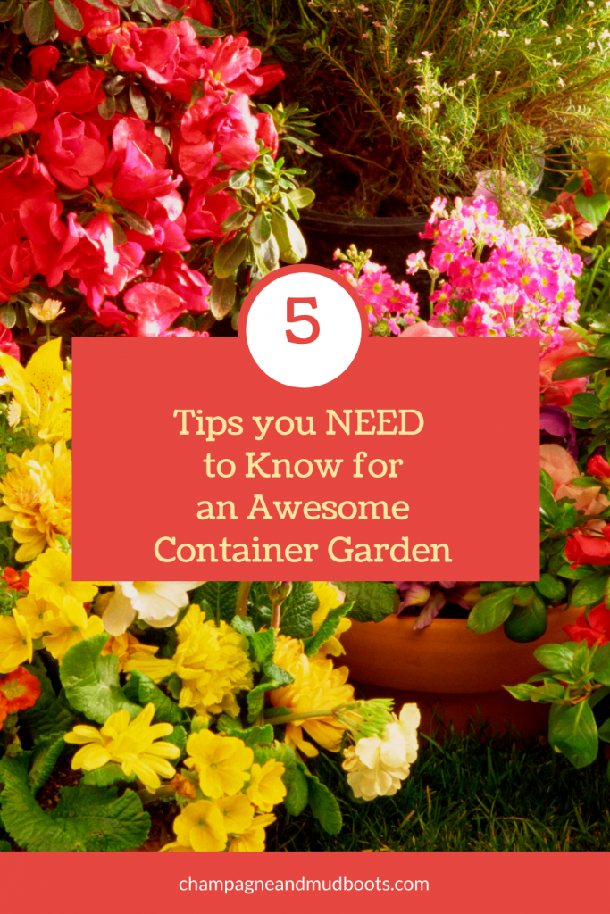 Thinking about starting a container garden or is your underperforming? These are the five best tips you need to create an awesome container garden.  